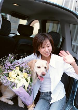 移動販売車の購入を考える方が増加中